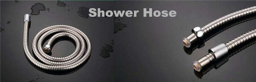 Wholesale Bathroom Square Overhead Shower 200*300mm Top Rainfall Shower Head